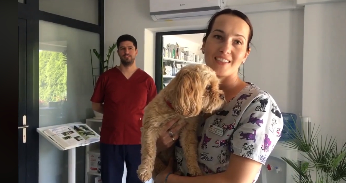 #GaszynChallenge gabinetu weterynaryjnego Cztery Łapy z Wysokiego Mazowieckiego