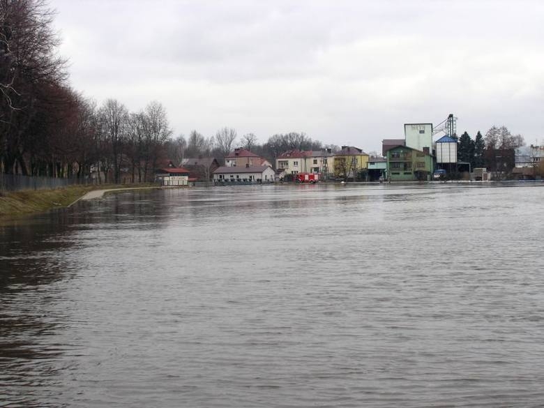 zdjęcie archiwalne